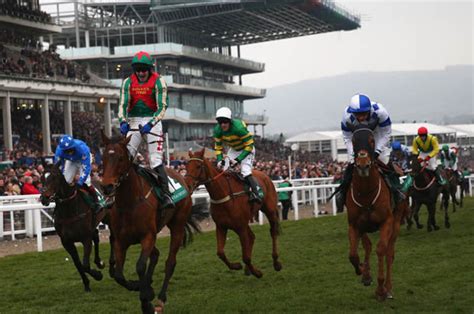 horse racing tips cheltenham|Latest Horse Racing Tips for Cheltenham .